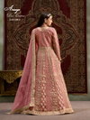 Aanaya Vol 209 By Dani Creation Net Gown With Dupatta